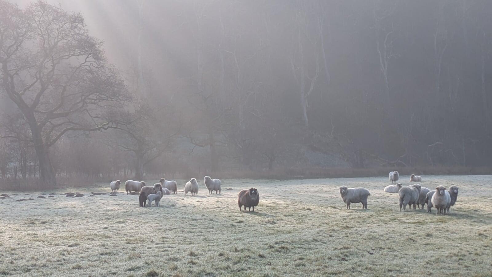 The long month of March