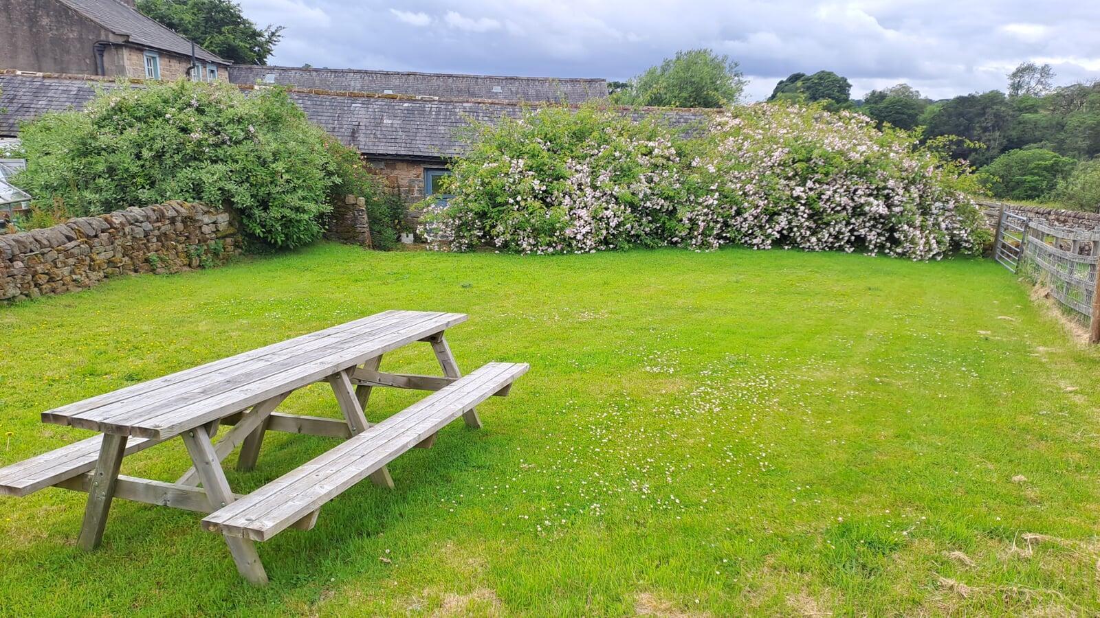 Lawned area 1